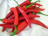 Noche Picante